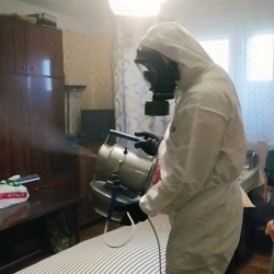 Дезинфекция от клопов в Белореченске